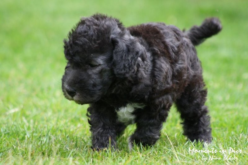 Arc-en-ciel Antares 2009-06-17 (28).JPG